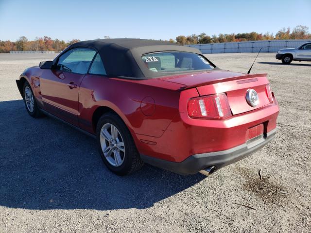 Photo 2 VIN: 1ZVBP8EM6B5161230 - FORD MUSTANG 