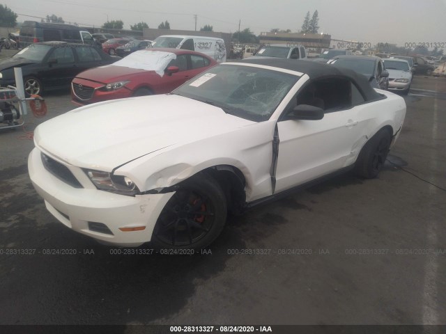 Photo 1 VIN: 1ZVBP8EM6C5224960 - FORD MUSTANG 