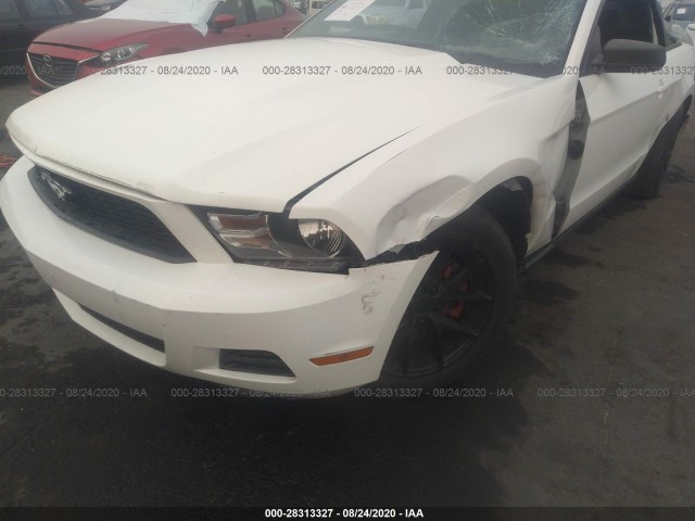 Photo 5 VIN: 1ZVBP8EM6C5224960 - FORD MUSTANG 