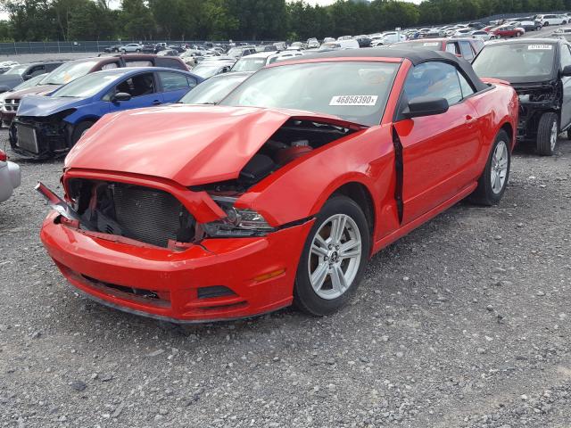 Photo 1 VIN: 1ZVBP8EM6D5224460 - FORD MUSTANG 