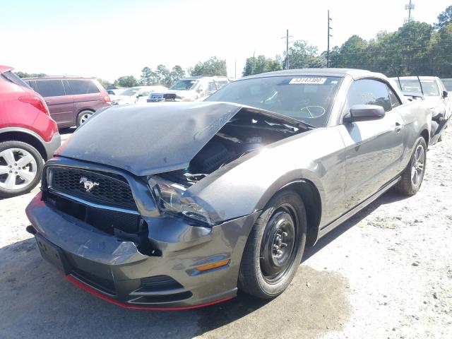 Photo 1 VIN: 1ZVBP8EM6D5236849 - FORD MUSTANG 