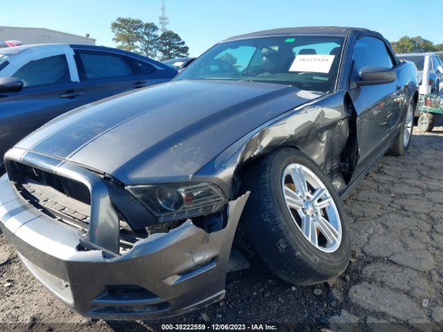 Photo 5 VIN: 1ZVBP8EM6D5280382 - FORD MUSTANG 