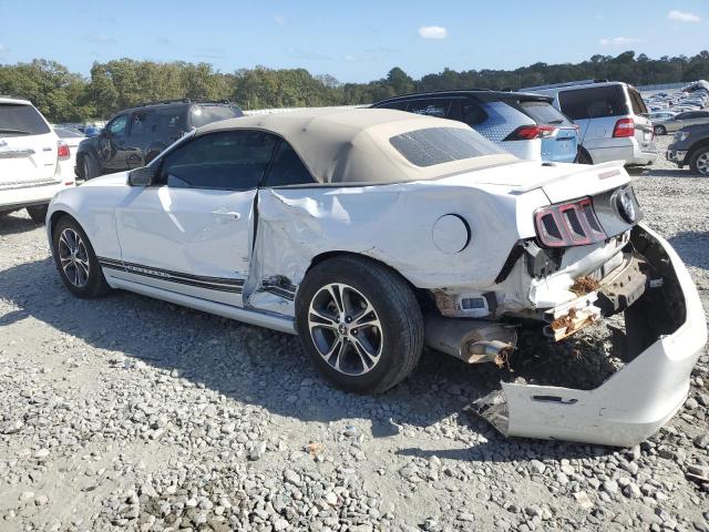 Photo 1 VIN: 1ZVBP8EM6E5238182 - FORD MUSTANG 