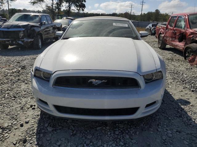 Photo 4 VIN: 1ZVBP8EM6E5238182 - FORD MUSTANG 