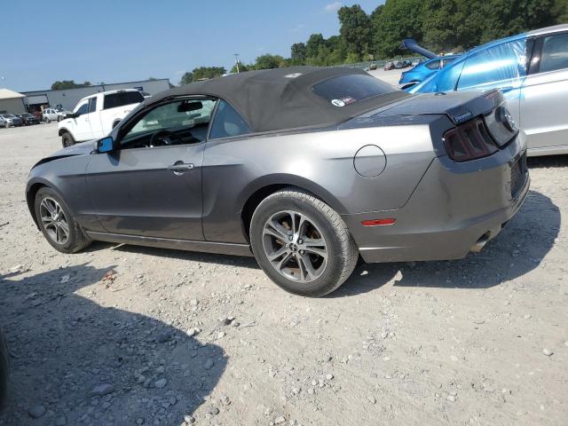 Photo 1 VIN: 1ZVBP8EM6E5248310 - FORD MUSTANG 