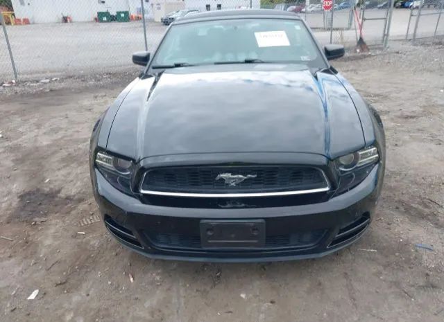 Photo 5 VIN: 1ZVBP8EM6E5285731 - FORD MUSTANG 