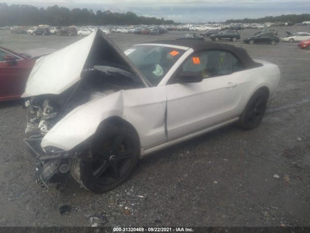 Photo 1 VIN: 1ZVBP8EM6E5297247 - FORD MUSTANG 