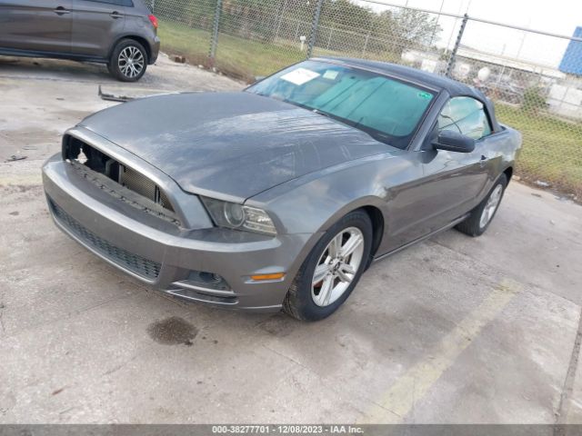 Photo 1 VIN: 1ZVBP8EM6E5319196 - FORD MUSTANG 