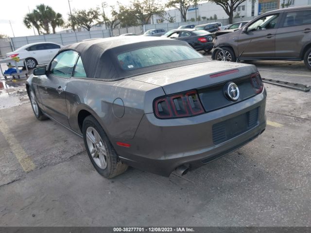 Photo 2 VIN: 1ZVBP8EM6E5319196 - FORD MUSTANG 