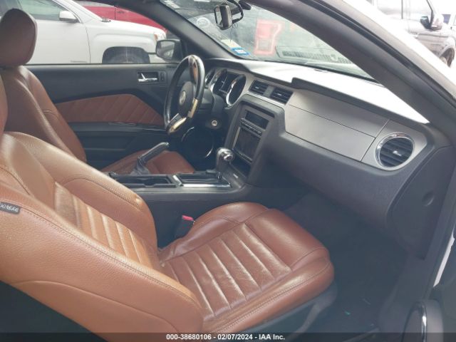 Photo 4 VIN: 1ZVBP8EM7B5120248 - FORD MUSTANG 