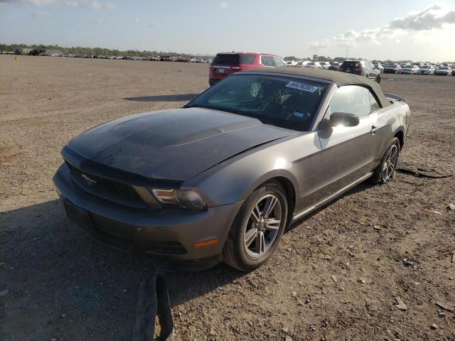 Photo 1 VIN: 1ZVBP8EM7B5159289 - FORD MUSTANG 