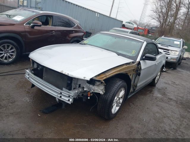 Photo 1 VIN: 1ZVBP8EM7C5212560 - FORD MUSTANG 