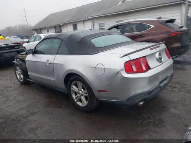 Photo 2 VIN: 1ZVBP8EM7C5212560 - FORD MUSTANG 