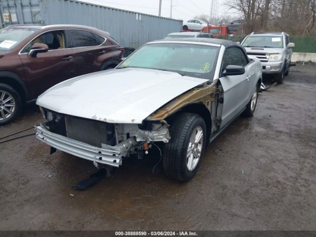 Photo 5 VIN: 1ZVBP8EM7C5212560 - FORD MUSTANG 