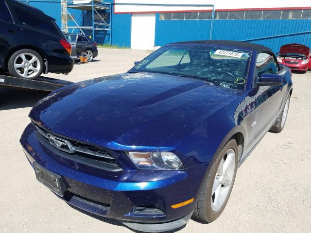 Photo 1 VIN: 1ZVBP8EM7C5217161 - FORD MUSTANG 