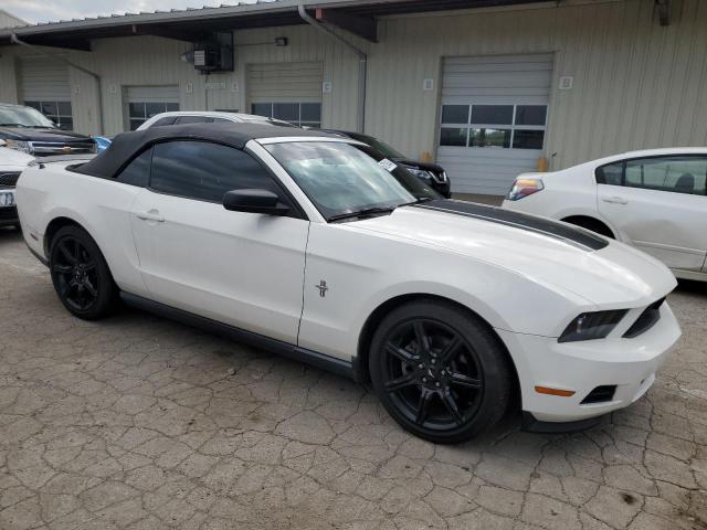 Photo 3 VIN: 1ZVBP8EM7C5241198 - FORD MUSTANG 