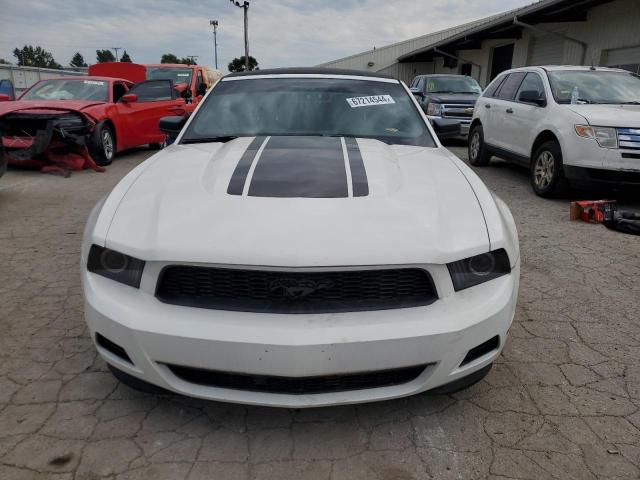 Photo 4 VIN: 1ZVBP8EM7C5241198 - FORD MUSTANG 