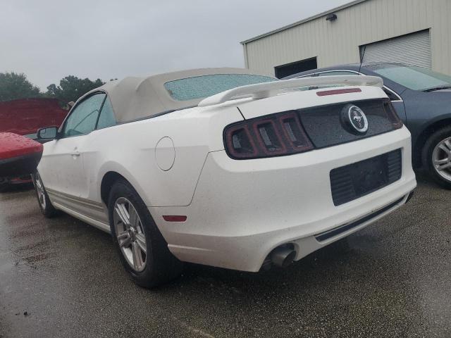 Photo 1 VIN: 1ZVBP8EM7D5268578 - FORD MUSTANG 