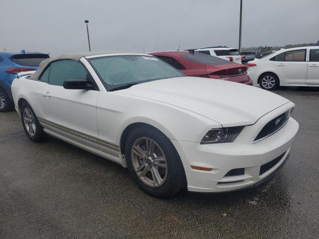 Photo 3 VIN: 1ZVBP8EM7D5268578 - FORD MUSTANG 