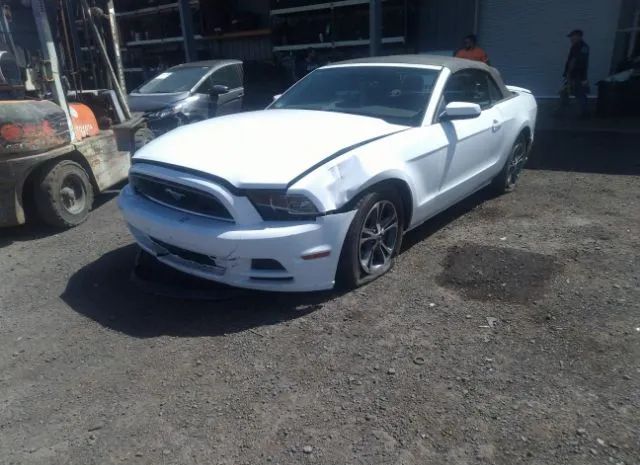 Photo 5 VIN: 1ZVBP8EM7E5226977 - FORD MUSTANG 