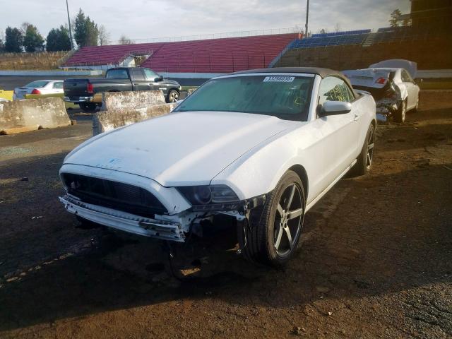 Photo 1 VIN: 1ZVBP8EM7E5242774 - FORD MUSTANG 