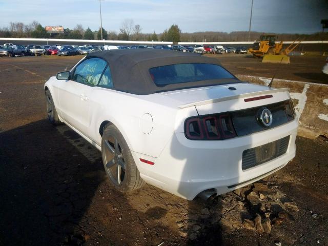 Photo 2 VIN: 1ZVBP8EM7E5242774 - FORD MUSTANG 