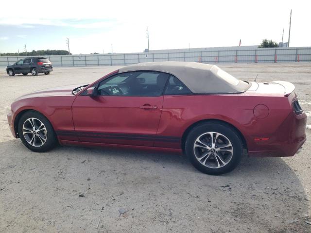 Photo 1 VIN: 1ZVBP8EM7E5243729 - FORD MUSTANG 