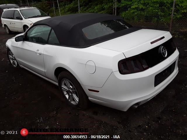 Photo 4 VIN: 1ZVBP8EM7E5295295 - FORD MUSTANG 