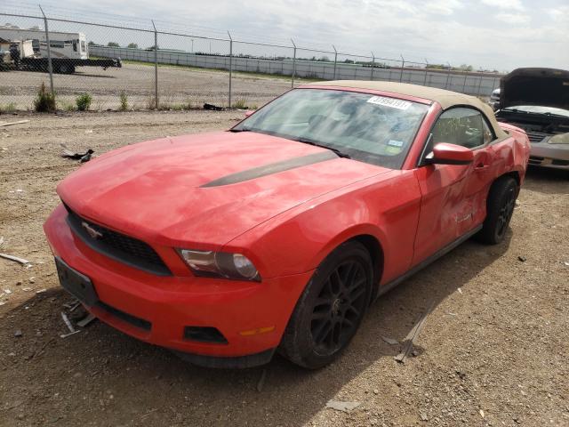 Photo 1 VIN: 1ZVBP8EM8B5112238 - FORD MUSTANG 