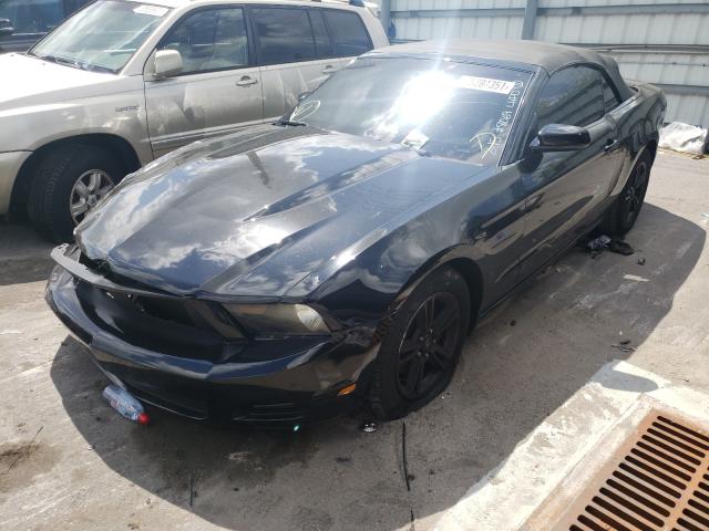 Photo 1 VIN: 1ZVBP8EM8B5118069 - FORD MUSTANG 