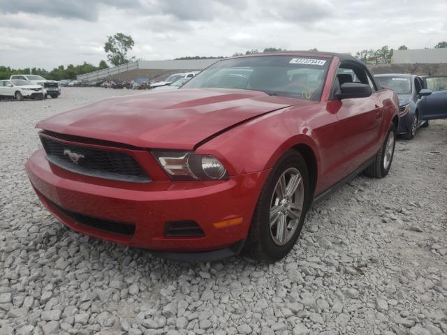 Photo 1 VIN: 1ZVBP8EM8C5201888 - FORD MUSTANG 