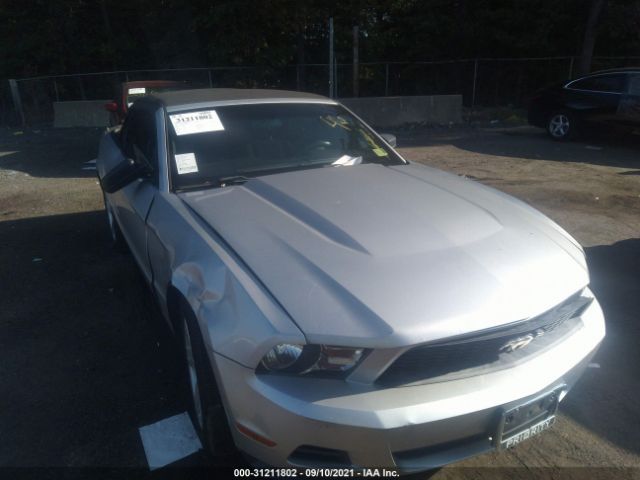 Photo 5 VIN: 1ZVBP8EM8C5206881 - FORD MUSTANG 