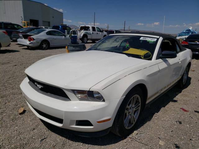 Photo 1 VIN: 1ZVBP8EM8C5237208 - FORD MUSTANG 