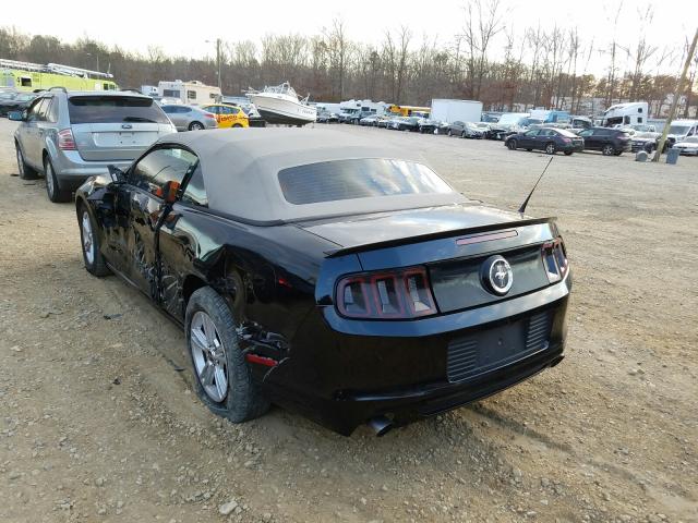 Photo 2 VIN: 1ZVBP8EM8D5207580 - FORD MUSTANG 