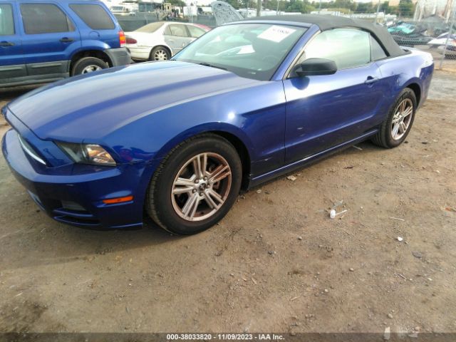 Photo 1 VIN: 1ZVBP8EM8D5214075 - FORD MUSTANG 