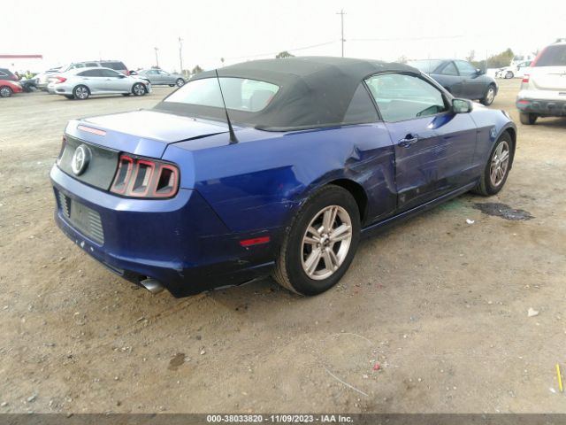 Photo 3 VIN: 1ZVBP8EM8D5214075 - FORD MUSTANG 