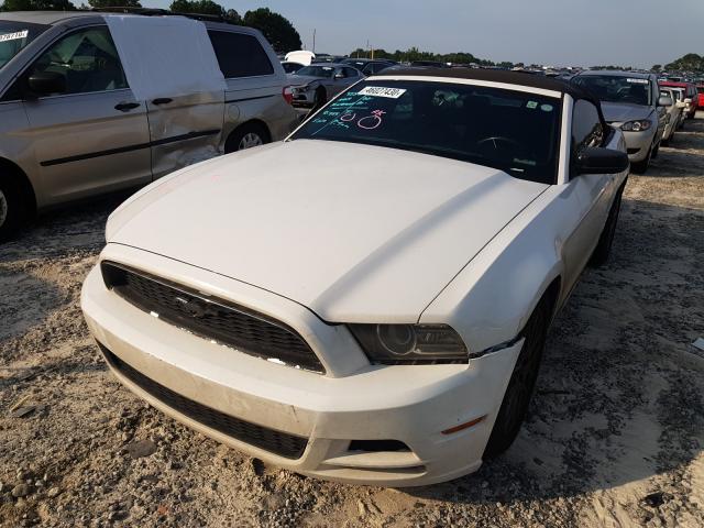 Photo 1 VIN: 1ZVBP8EM8D5275989 - FORD MUSTANG 