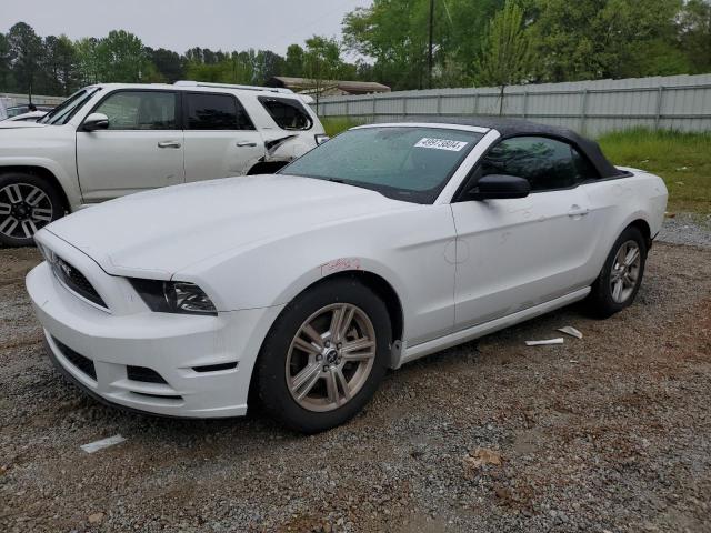 Photo 0 VIN: 1ZVBP8EM8E5222257 - FORD MUSTANG 