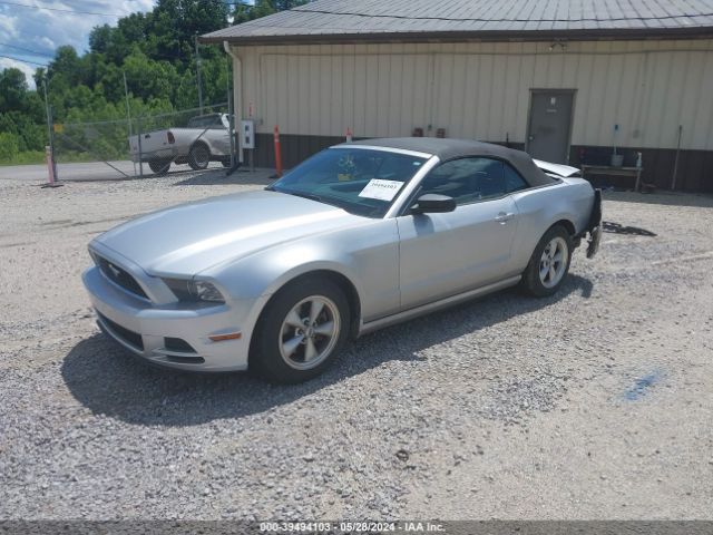 Photo 1 VIN: 1ZVBP8EM8E5251922 - FORD MUSTANG 