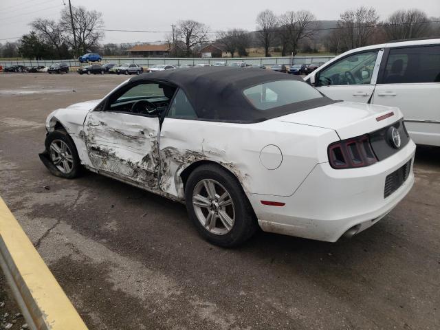 Photo 1 VIN: 1ZVBP8EM8E5260362 - FORD MUSTANG 