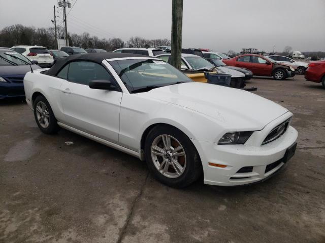 Photo 3 VIN: 1ZVBP8EM8E5260362 - FORD MUSTANG 