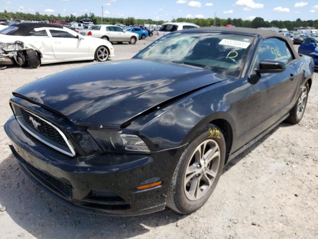 Photo 1 VIN: 1ZVBP8EM8E5275637 - FORD MUSTANG 