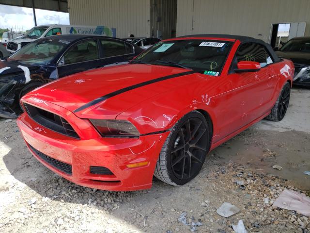 Photo 1 VIN: 1ZVBP8EM8E5281650 - FORD MUSTANG 