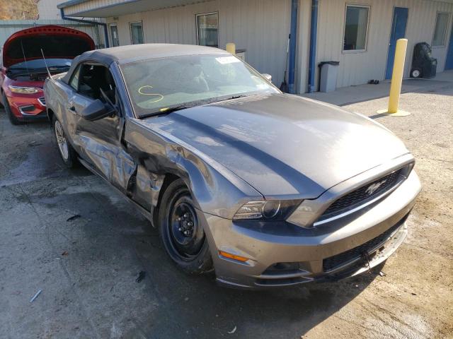 Photo 0 VIN: 1ZVBP8EM8E5287688 - FORD MUSTANG 