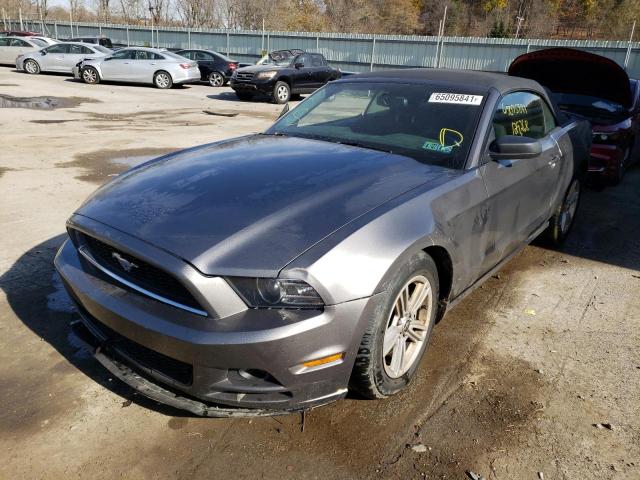 Photo 1 VIN: 1ZVBP8EM8E5287688 - FORD MUSTANG 