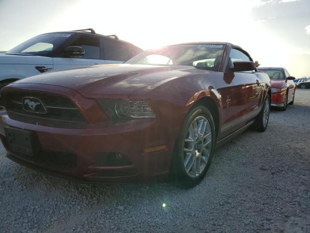 Photo 1 VIN: 1ZVBP8EM8E5303565 - FORD MUSTANG 