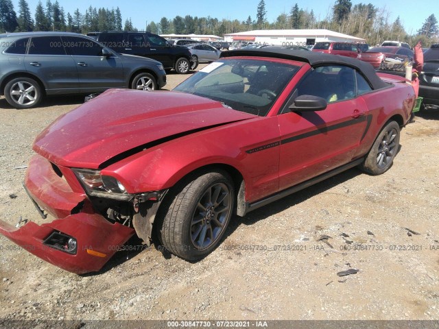 Photo 1 VIN: 1ZVBP8EM9B5146950 - FORD MUSTANG 