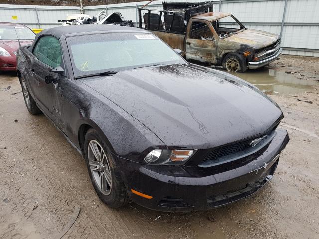 Photo 0 VIN: 1ZVBP8EM9C5205349 - FORD MUSTANG 