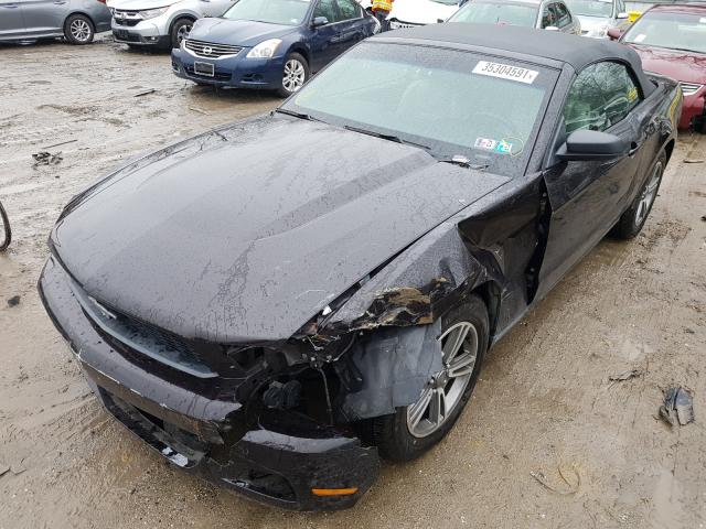 Photo 1 VIN: 1ZVBP8EM9C5205349 - FORD MUSTANG 