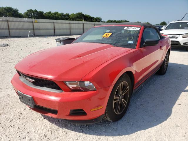 Photo 1 VIN: 1ZVBP8EM9C5282531 - FORD MUSTANG 